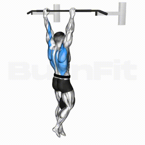 Weighted Pull Up